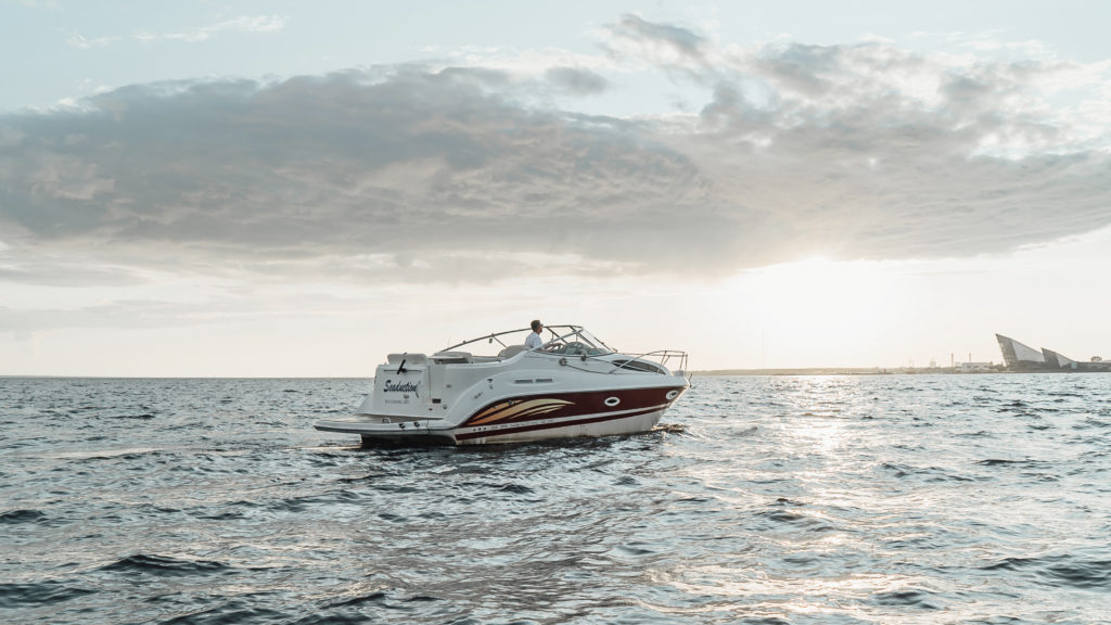 Bayliner 265 Аренда катера